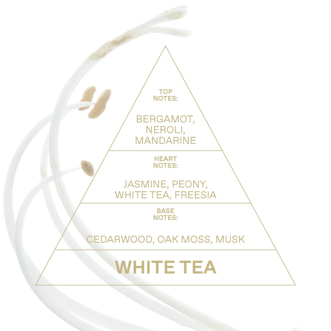 White Tea Eau De Toilette 1.69 FlOz S12865