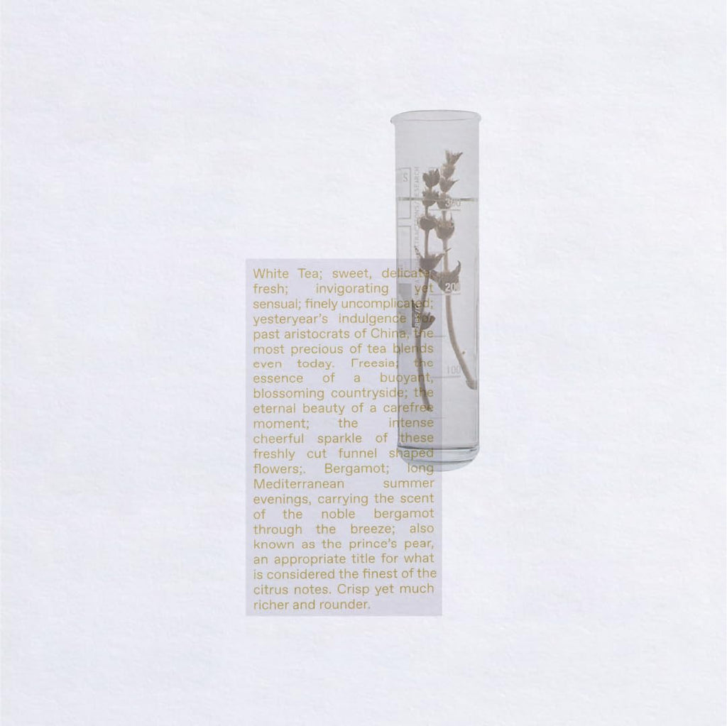 White Tea Eau De Toilette 1.69 FlOz S12865