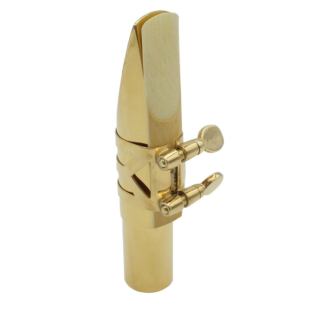 10 Pack Eb Alto Saxophone Reeds 2.5 Strength Bamboo Woodwind Reeds with Storage Case T60330