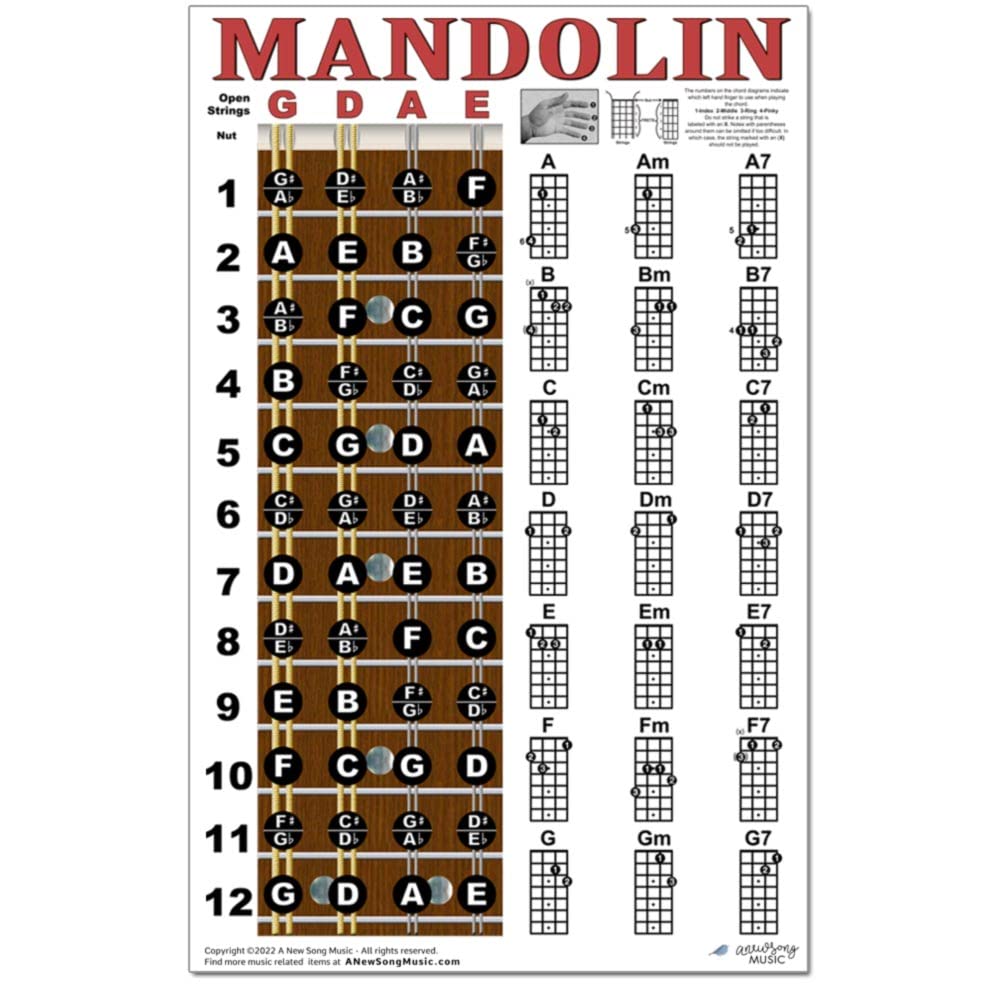 Mandolin Chord Chart Poster Laminated 11x17 F534