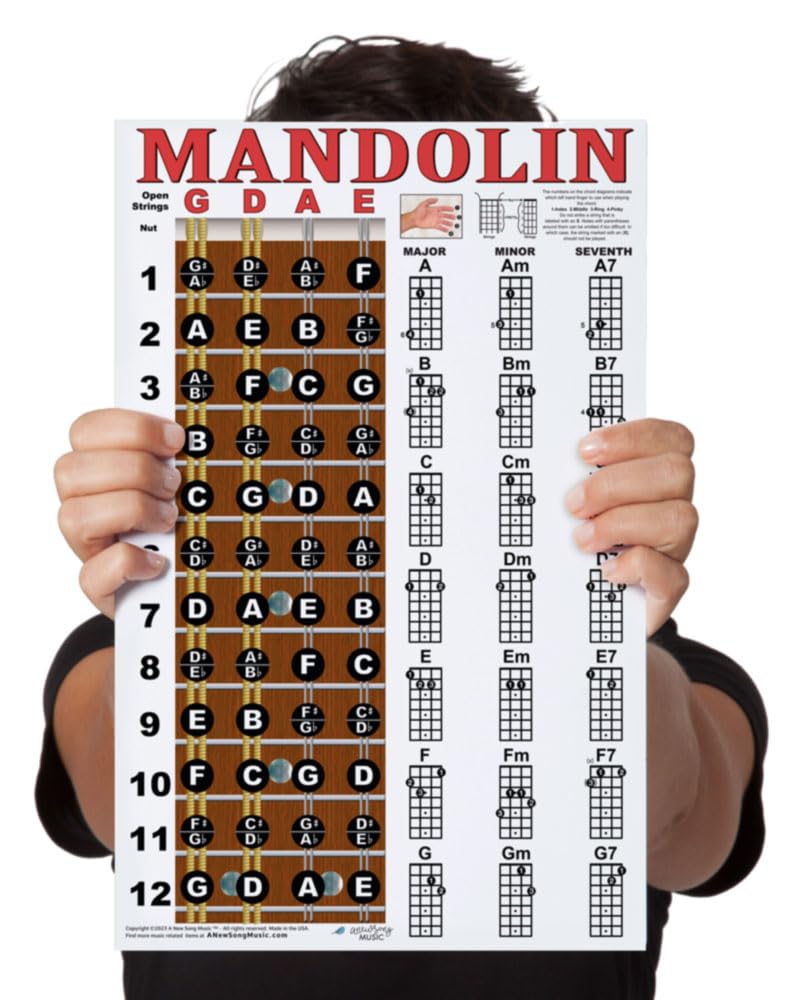 Mandolin Chord Chart Poster Laminated 11x17 F534