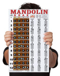 Mandolin Chord Chart Poster Laminated 11x17 F534