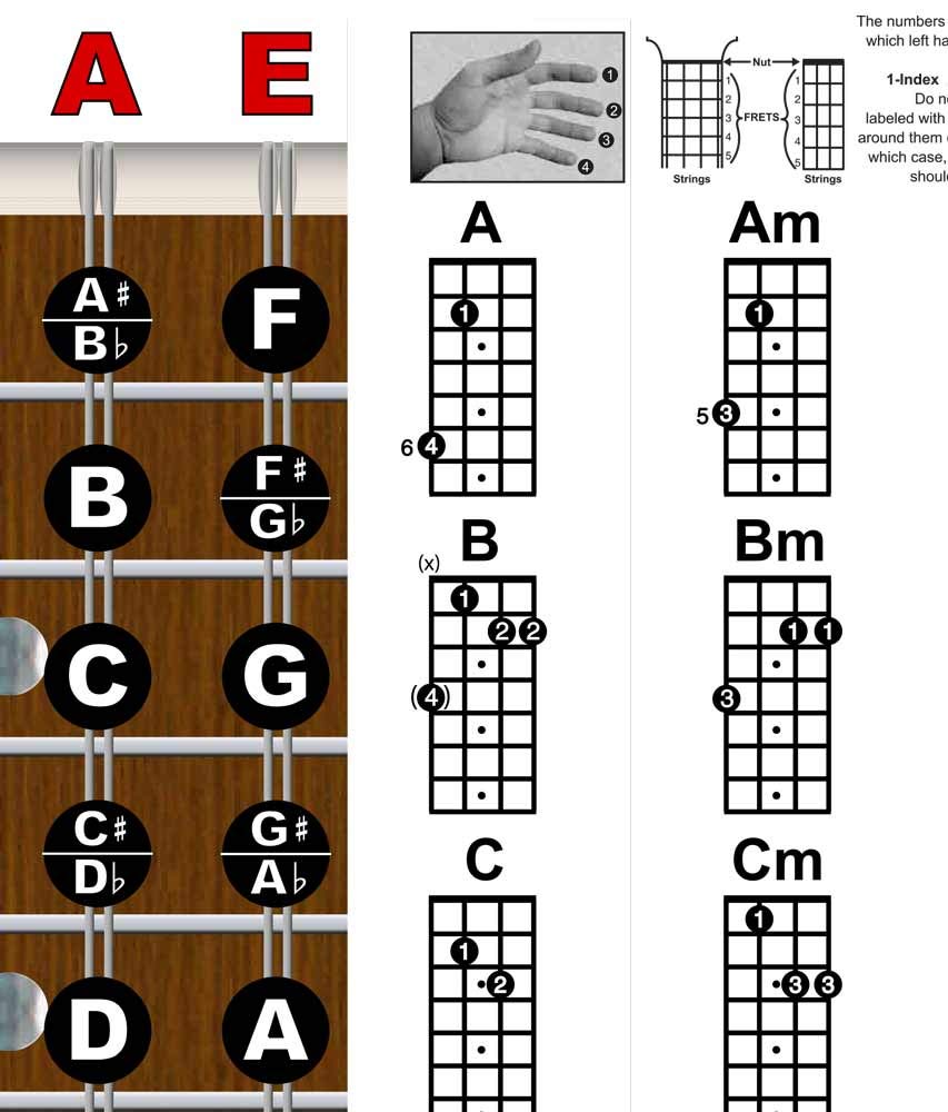 Mandolin Chord Chart Poster Laminated 11x17 F534