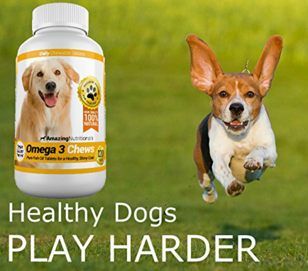 Omega-3 Fish Oil and Turmeric Curcumin Chews for Dogs M69835