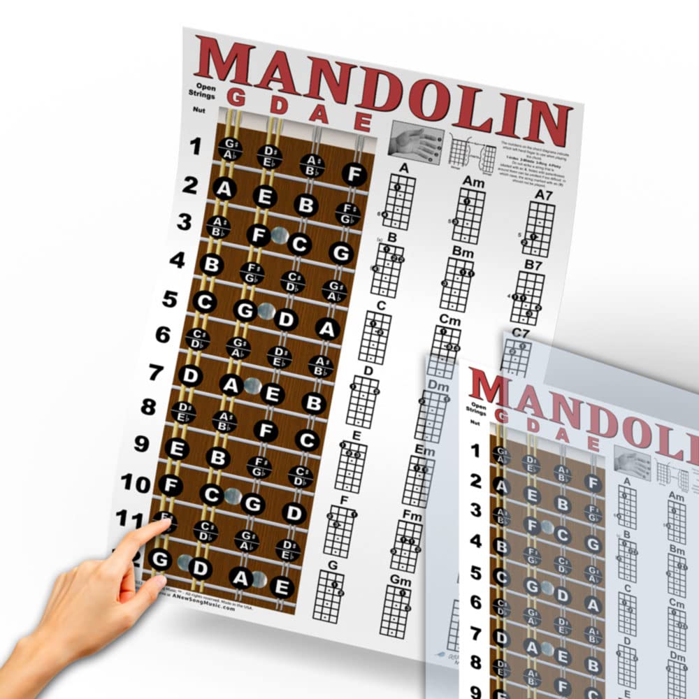 Mandolin Chord Chart Poster Laminated 11x17 F534