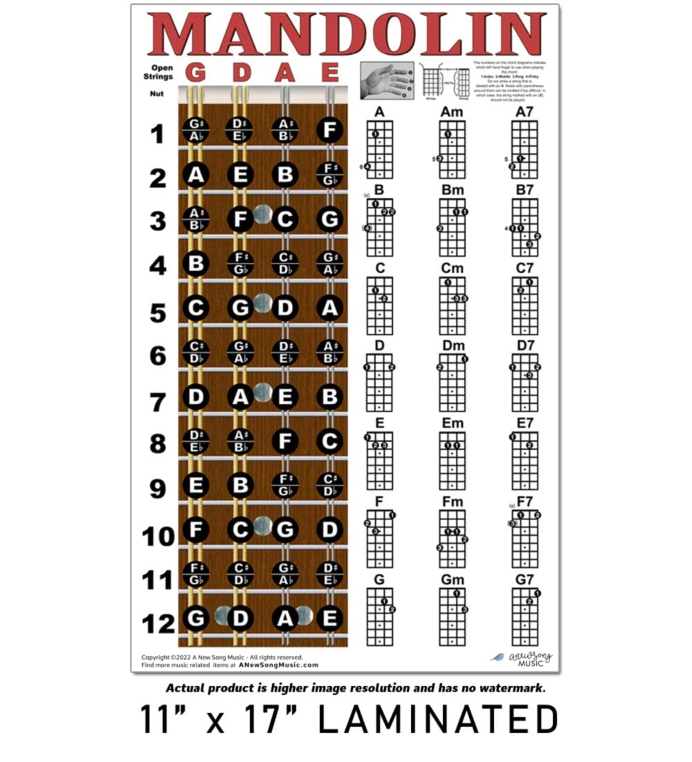 Mandolin Chord Chart Poster Laminated 11x17 F534