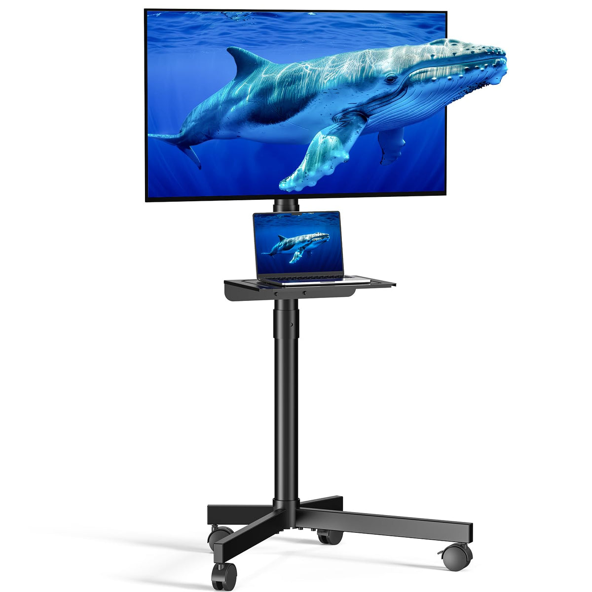 Height Adjustable Rolling TV Cart with Shelf and Locking Wheels Y46056