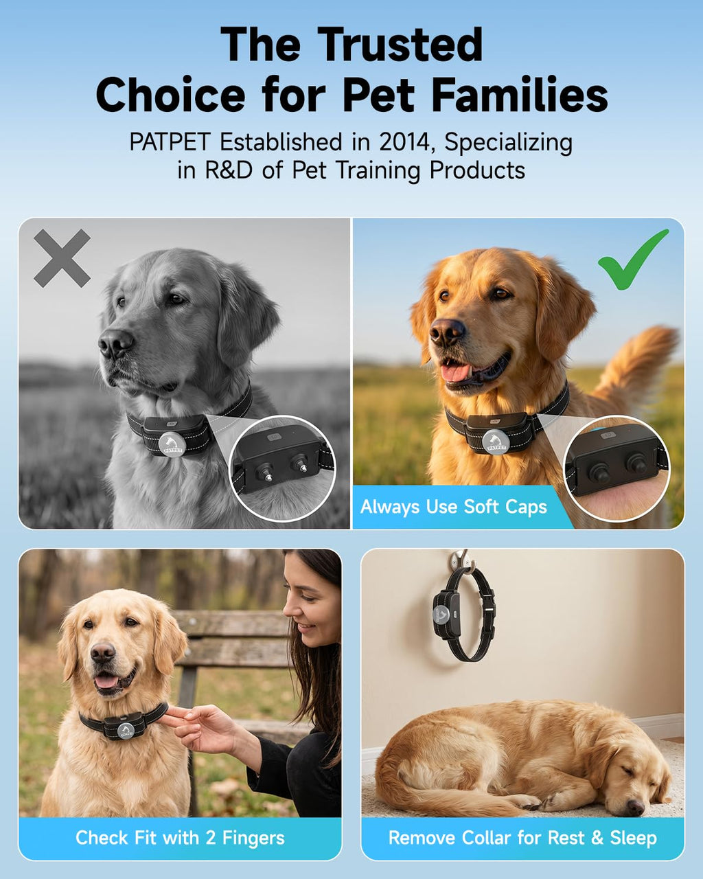 Dog Training Collar with Remote, 3 Training Modes, Rainproof T161557
