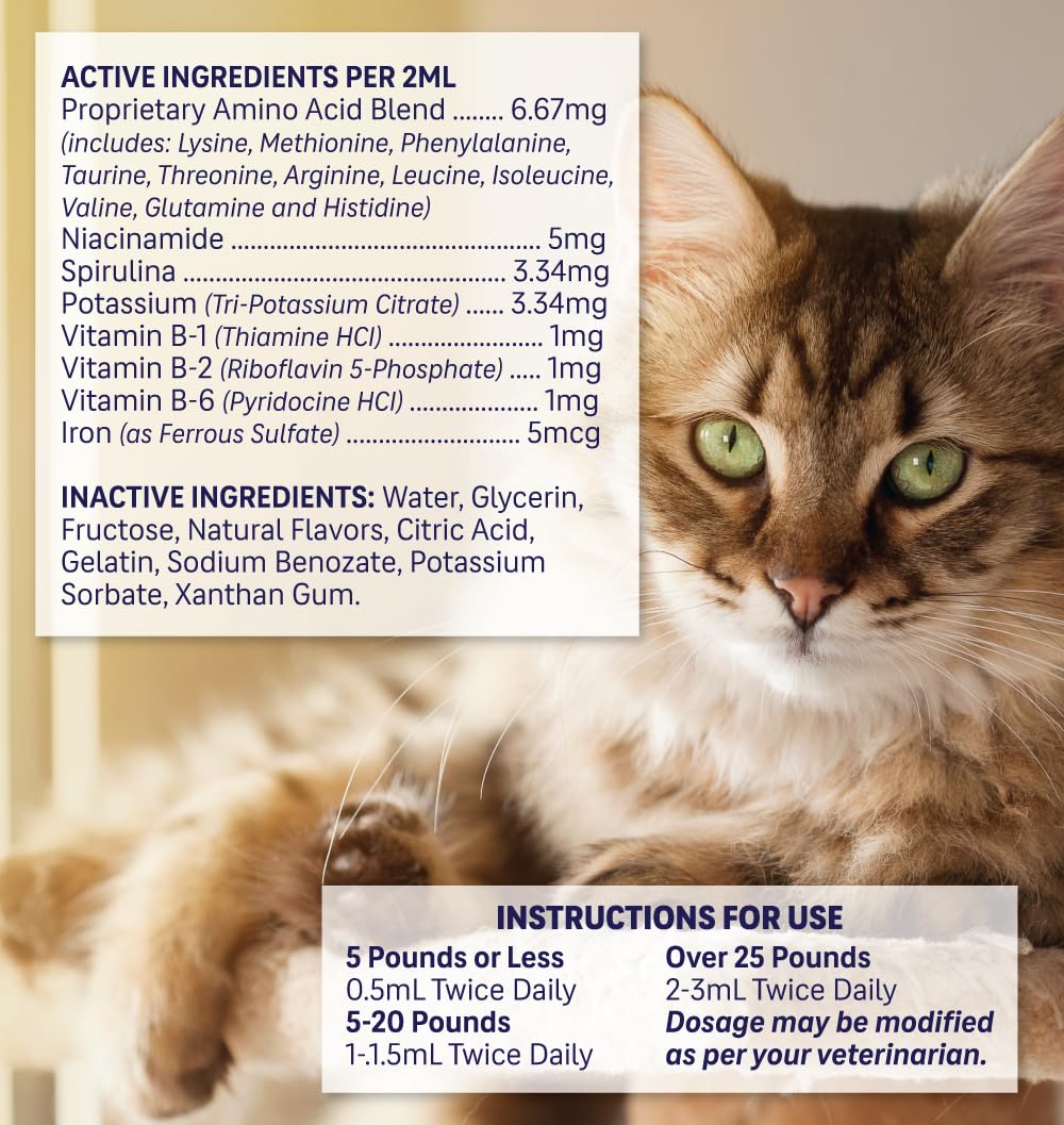 Liquid Pet Supplement with Vitamin B Complex & Iron 4 fl oz Y93915