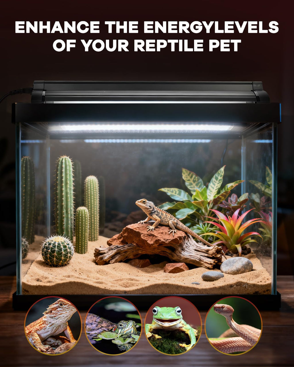 8W T5 UVB Reptile Light Fixture Combo Kit K3071