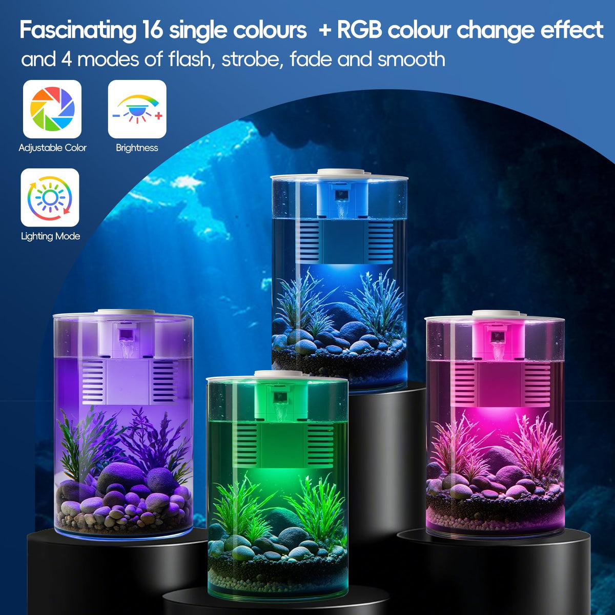 3 Gallon Self Cleaning Fish Tank Aquarium Starter Kit with Filter and Light O1961