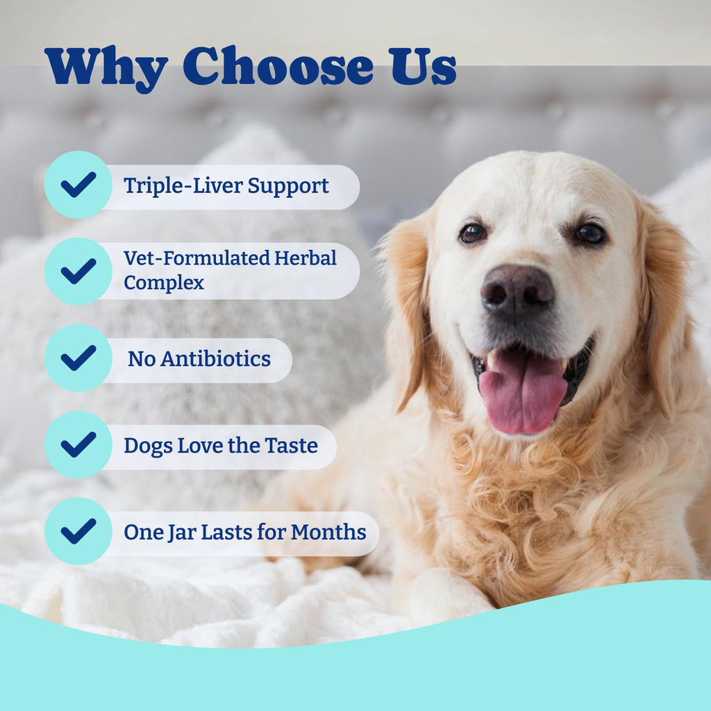 Milk Thistle Liver Support Chews for Dogs U147