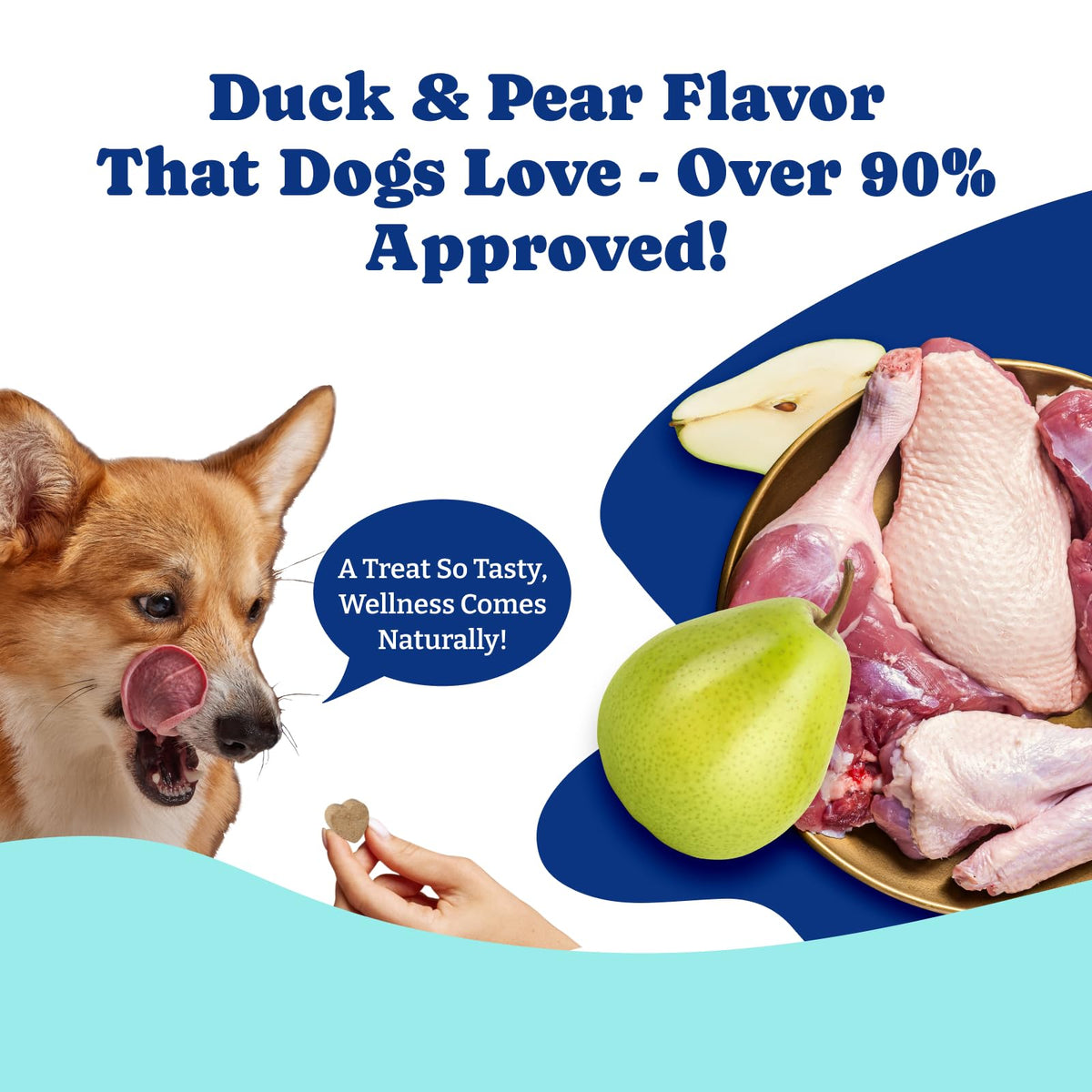Milk Thistle Liver Support Chews for Dogs U147