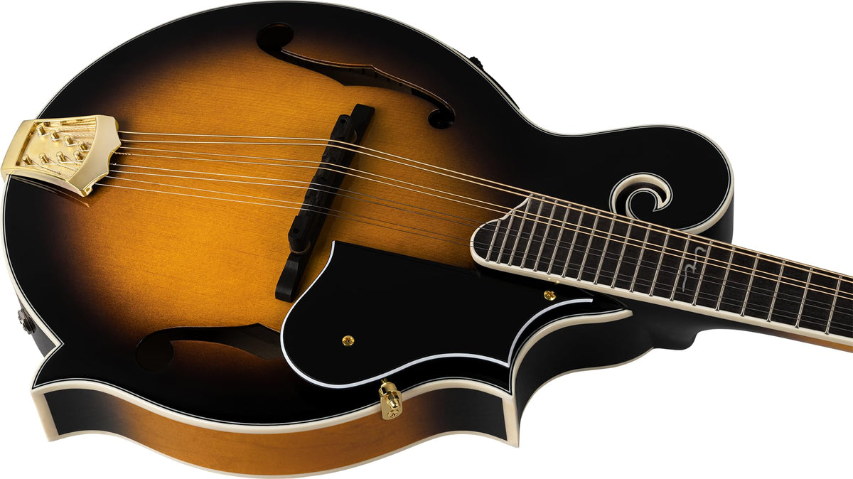 Solid Top F-Style Acoustic-Electric Mandolin Tobacco Sunburst I26167