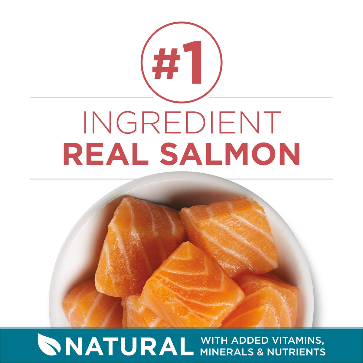 Dry Cat Food, Salmon, 7 lb Bag I294