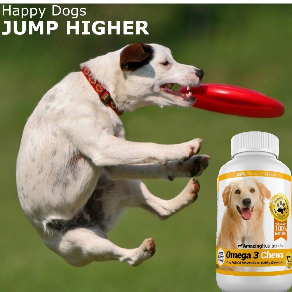 Omega-3 Fish Oil and Turmeric Curcumin Chews for Dogs M69835