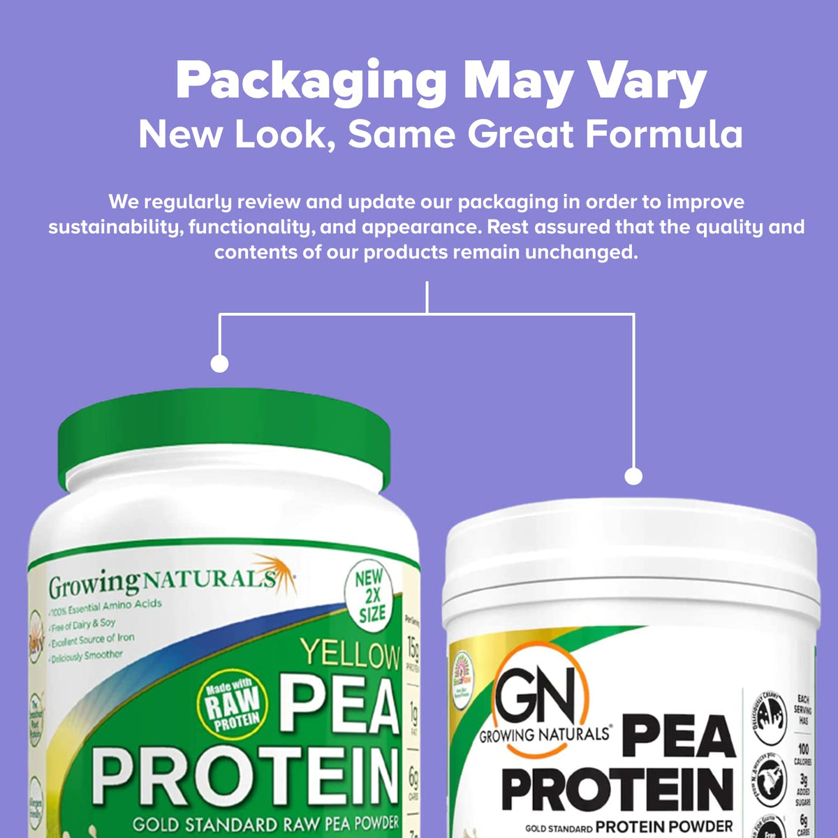 Raw Pea Protein Powder, Vegan Plant Based, BCAA, Low-Carb, Low-Sugar, Unflavored, 2 Pound L253