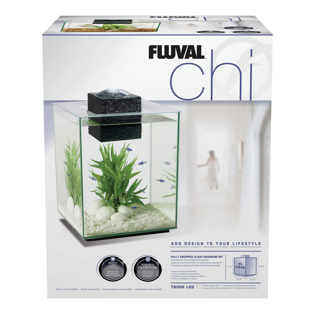5-Gallon Aquarium Set G4835