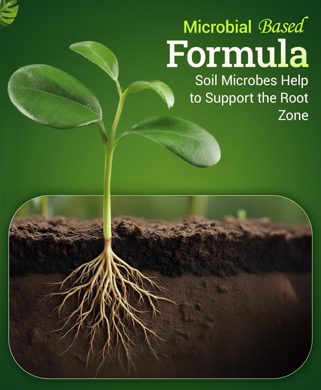 Liquid Plant Fertilizer 1 Pint T970871