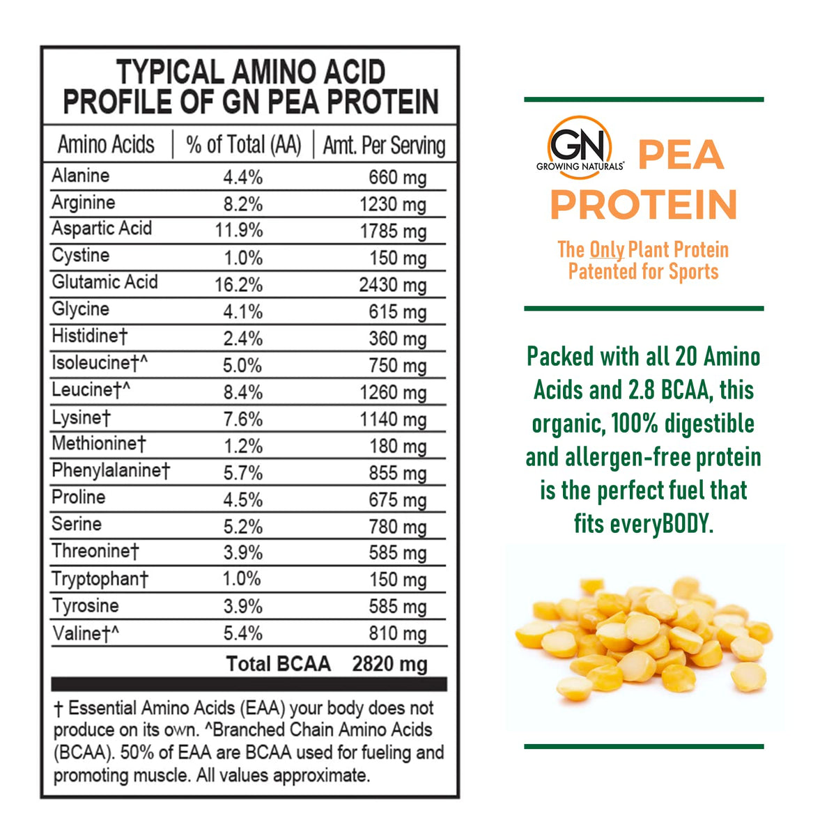 Raw Pea Protein Powder, Vegan Plant Based, BCAA, Low-Carb, Low-Sugar, Unflavored, 2 Pound L253