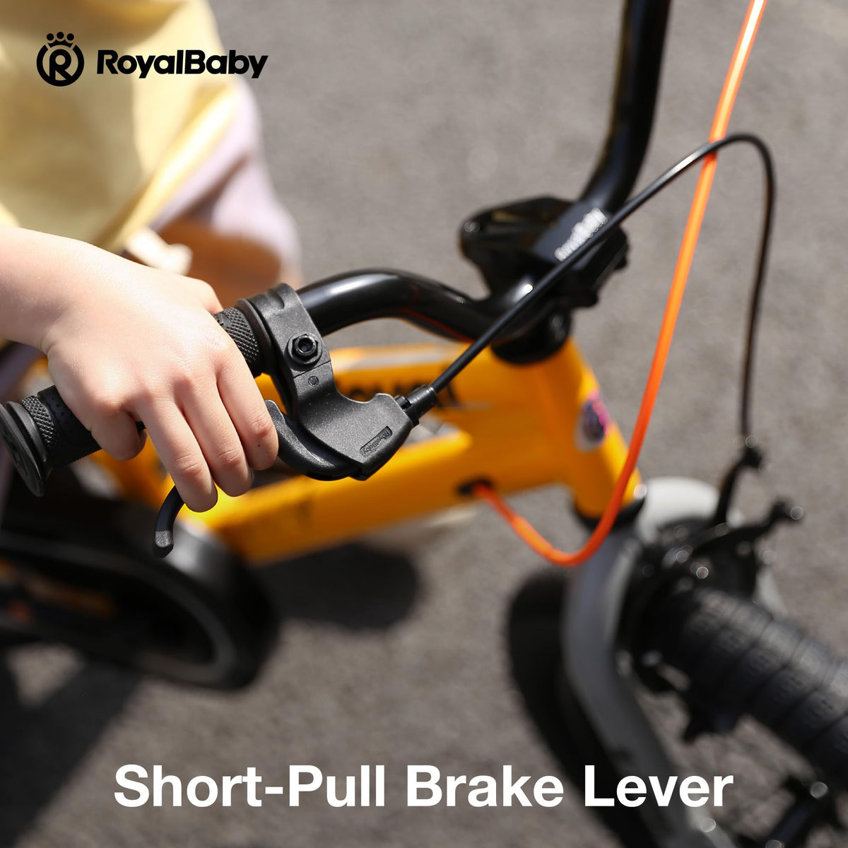 12-20 Inch Kids Bike N44990