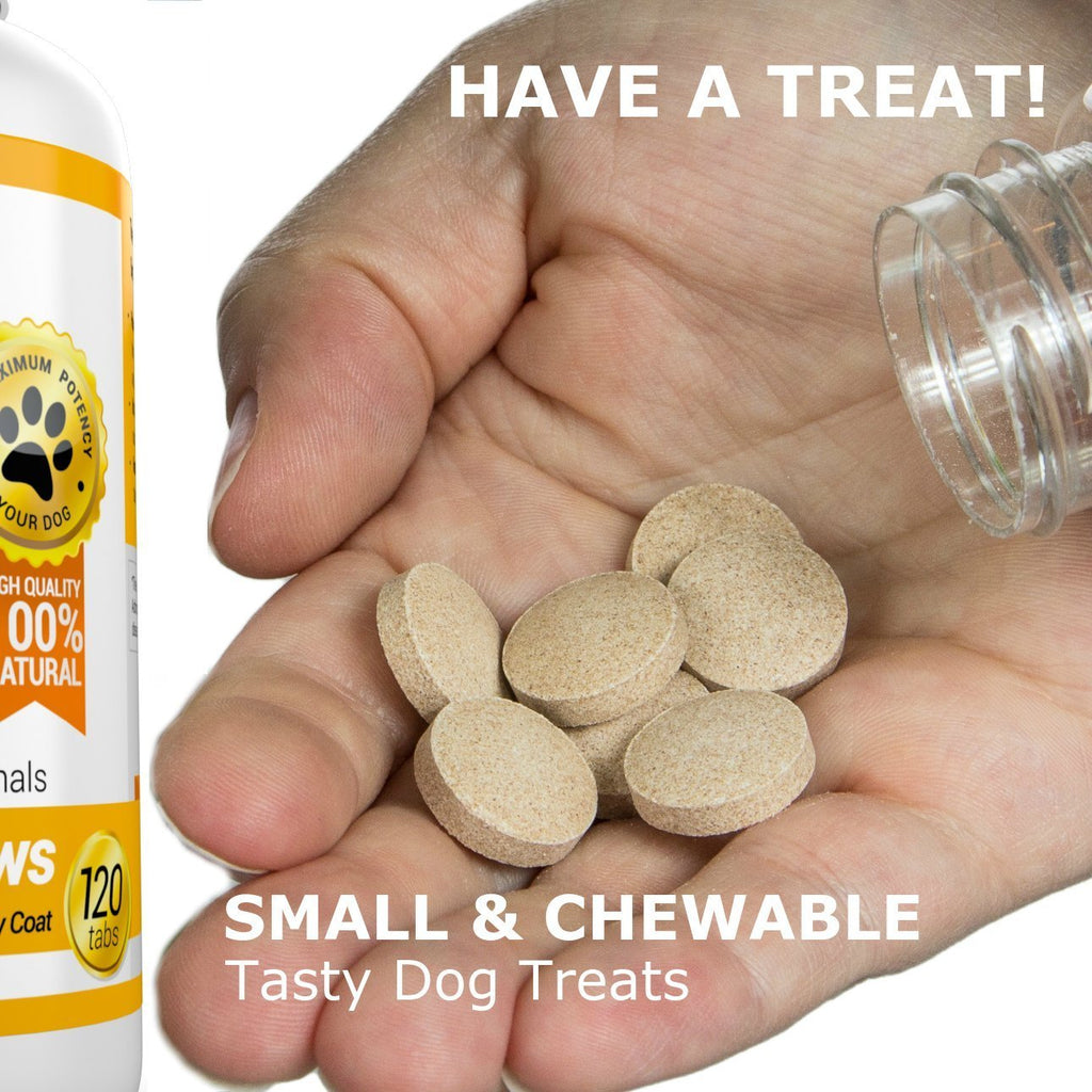 Omega-3 Fish Oil and Turmeric Curcumin Chews for Dogs M69835