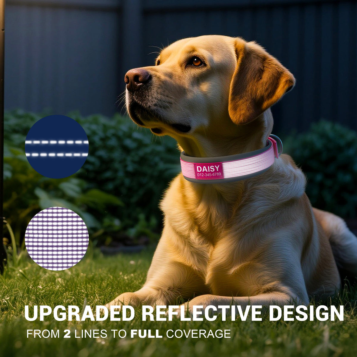 Personalized Reflective Dog Collar A517