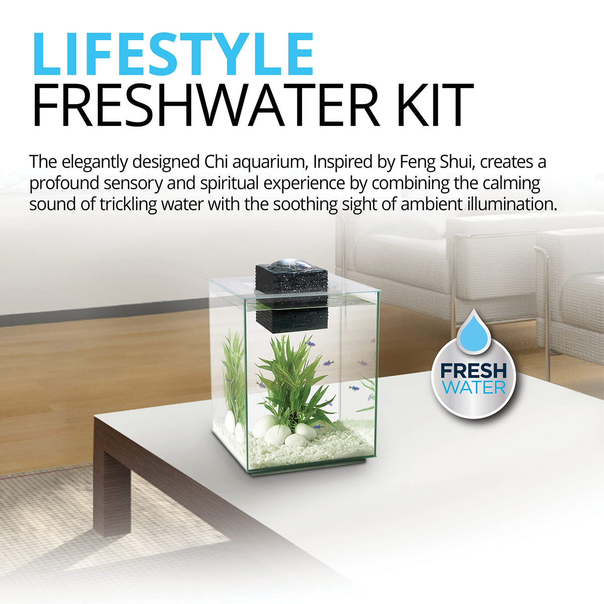 5-Gallon Aquarium Set G4835