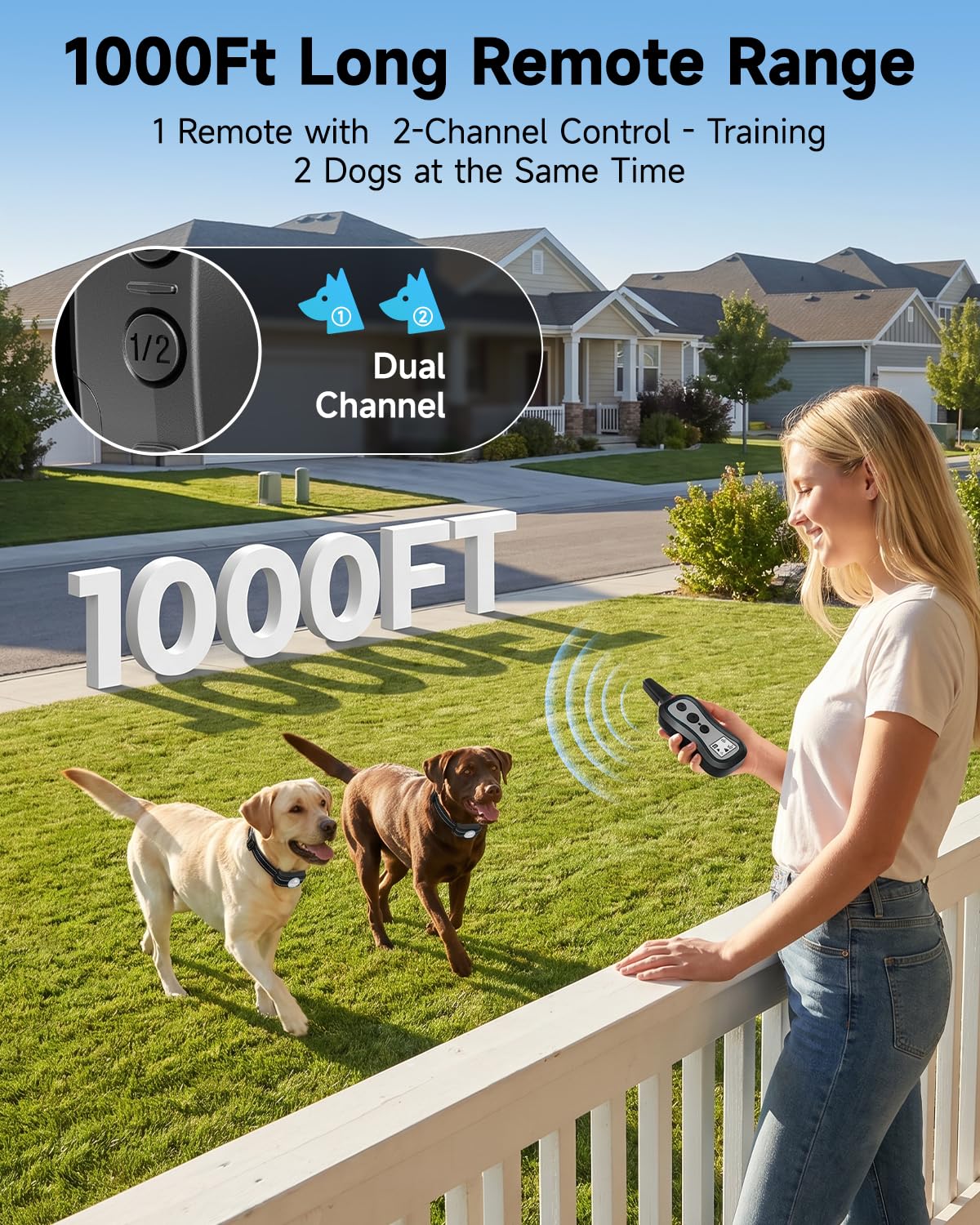 Dog Training Collar with Remote, 3 Training Modes, Rainproof T161557