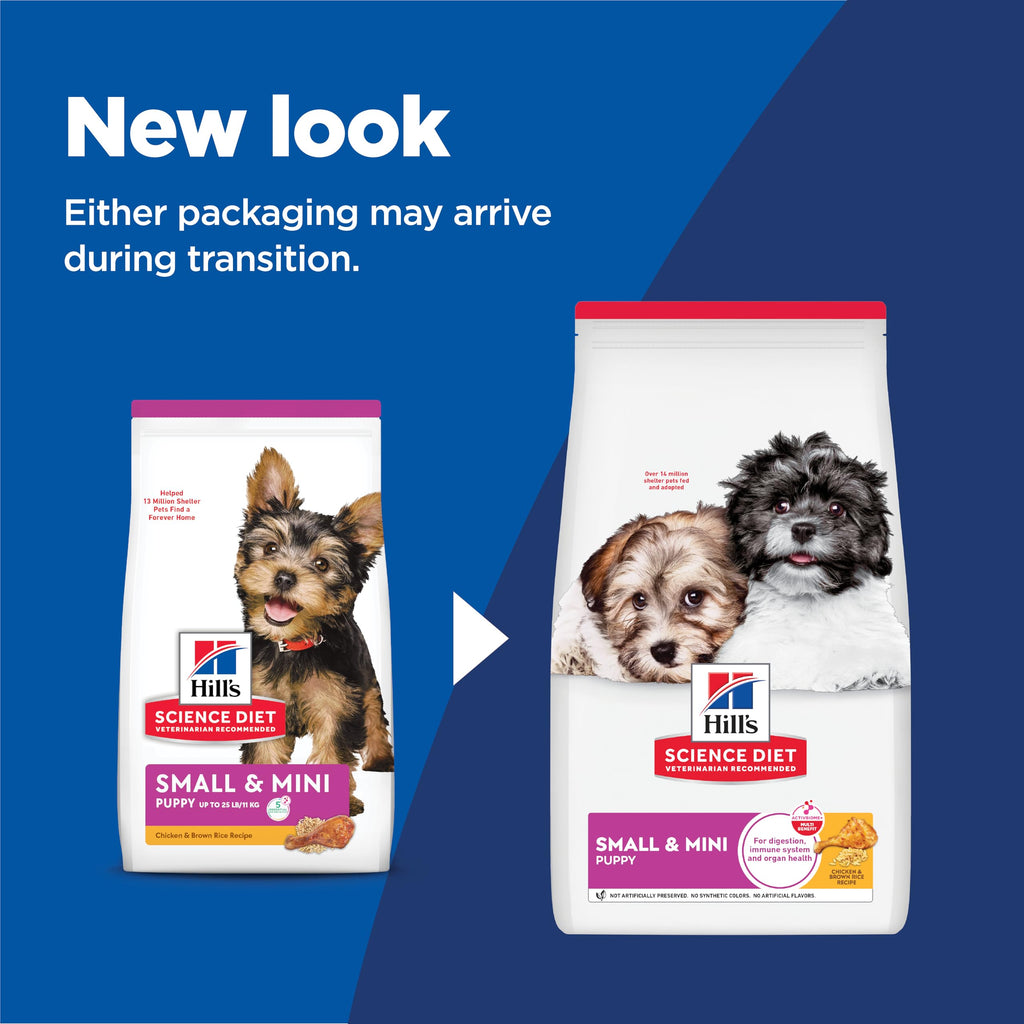 Dry Dog Food C23533