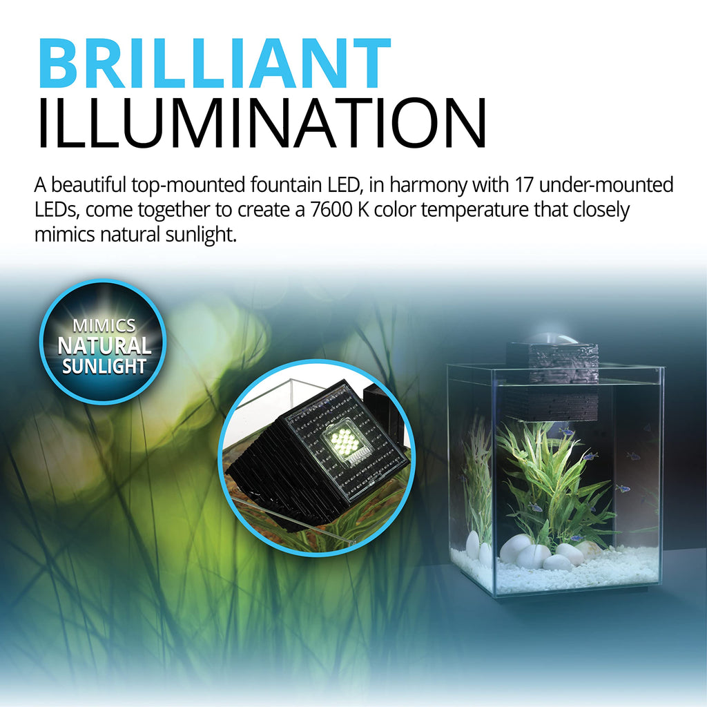 5-Gallon Aquarium Set G4835