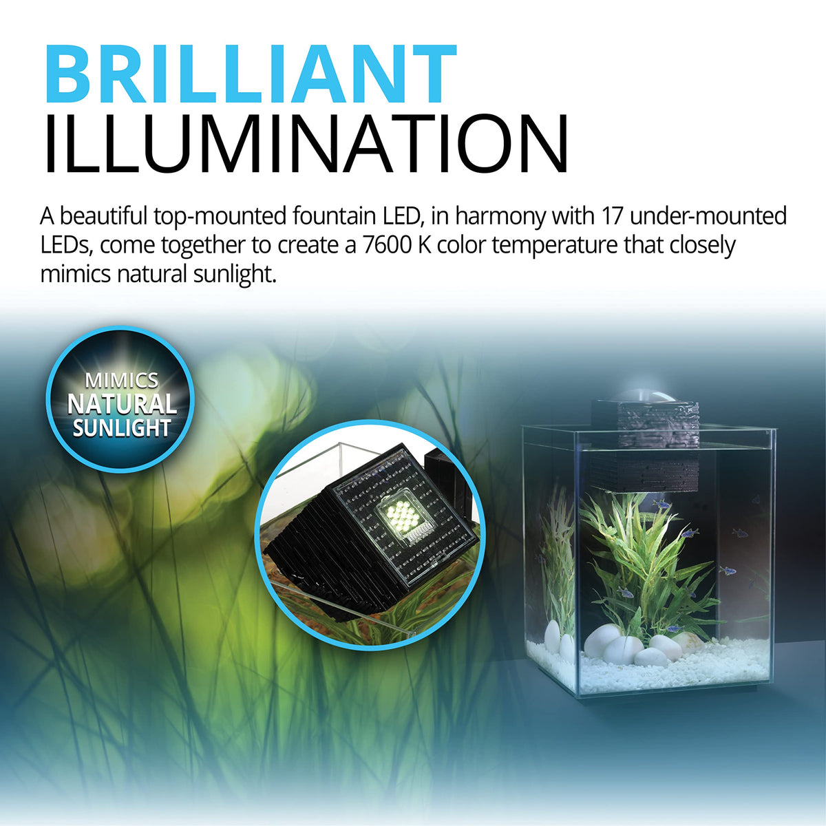 5-Gallon Aquarium Set G4835