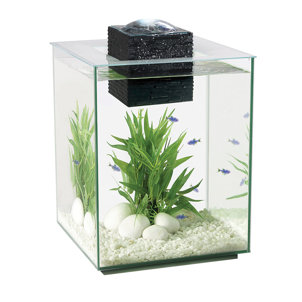 5-Gallon Aquarium Set G4835