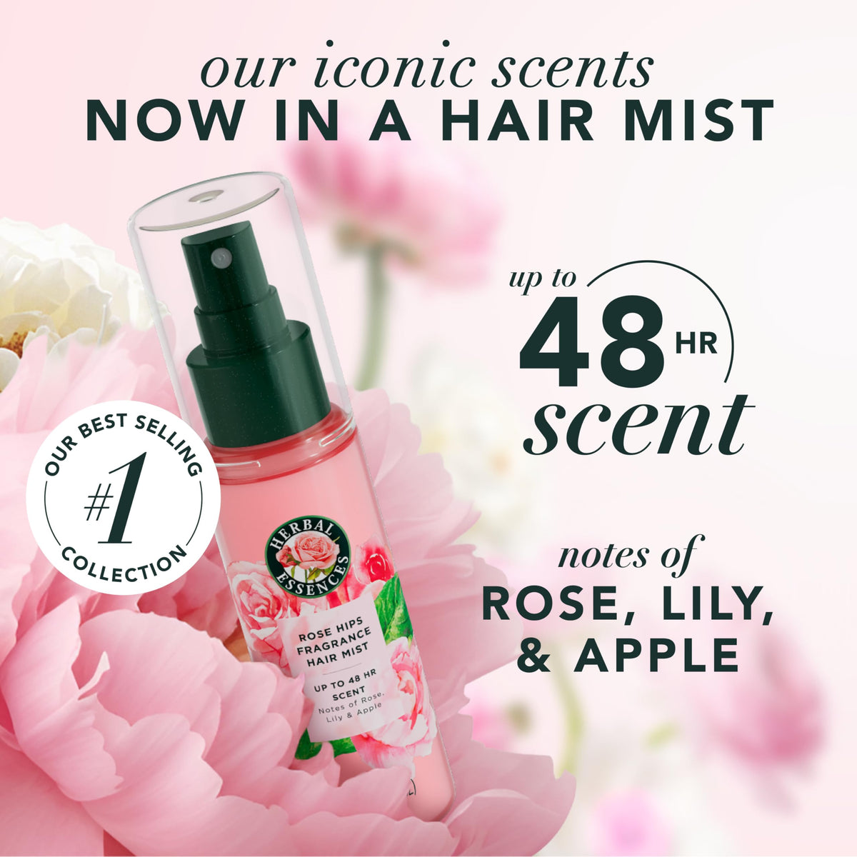 Rose Scent Hair Mist Fragrance Spray 3.2 fl oz W66902