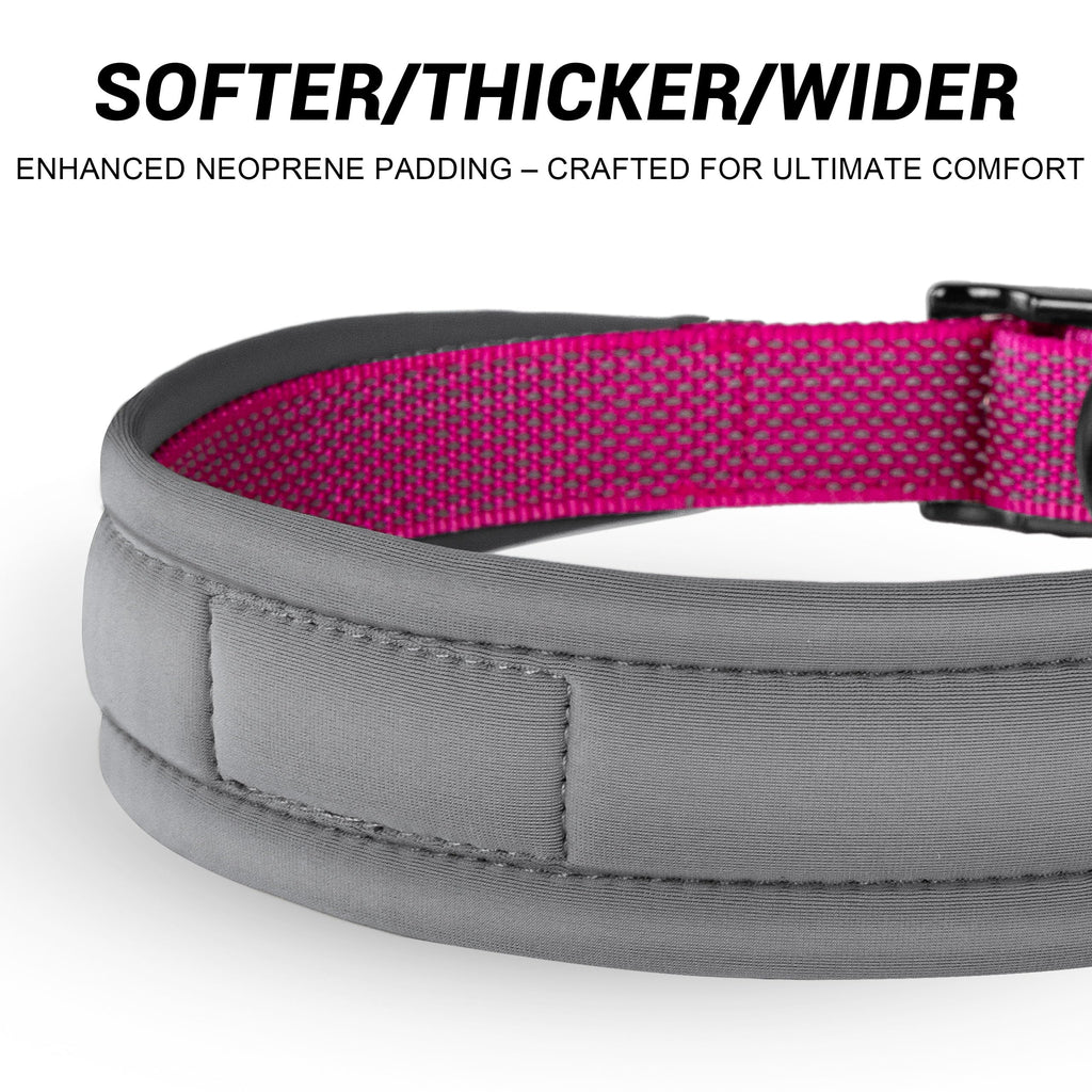Personalized Reflective Dog Collar A517