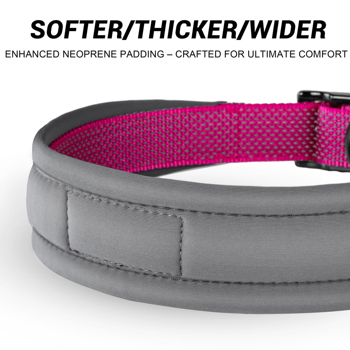 Personalized Reflective Dog Collar A517