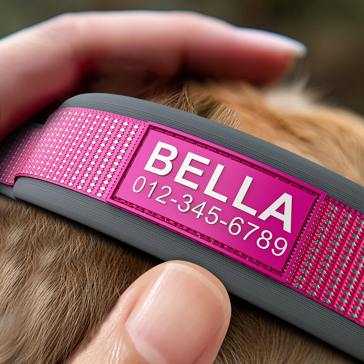 Personalized Reflective Dog Collar A517