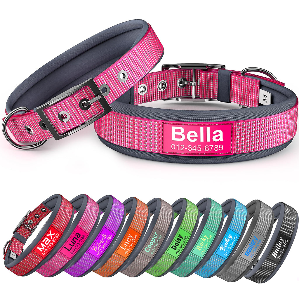 Personalized Reflective Dog Collar A517